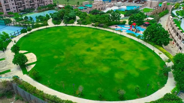 Cricket Court